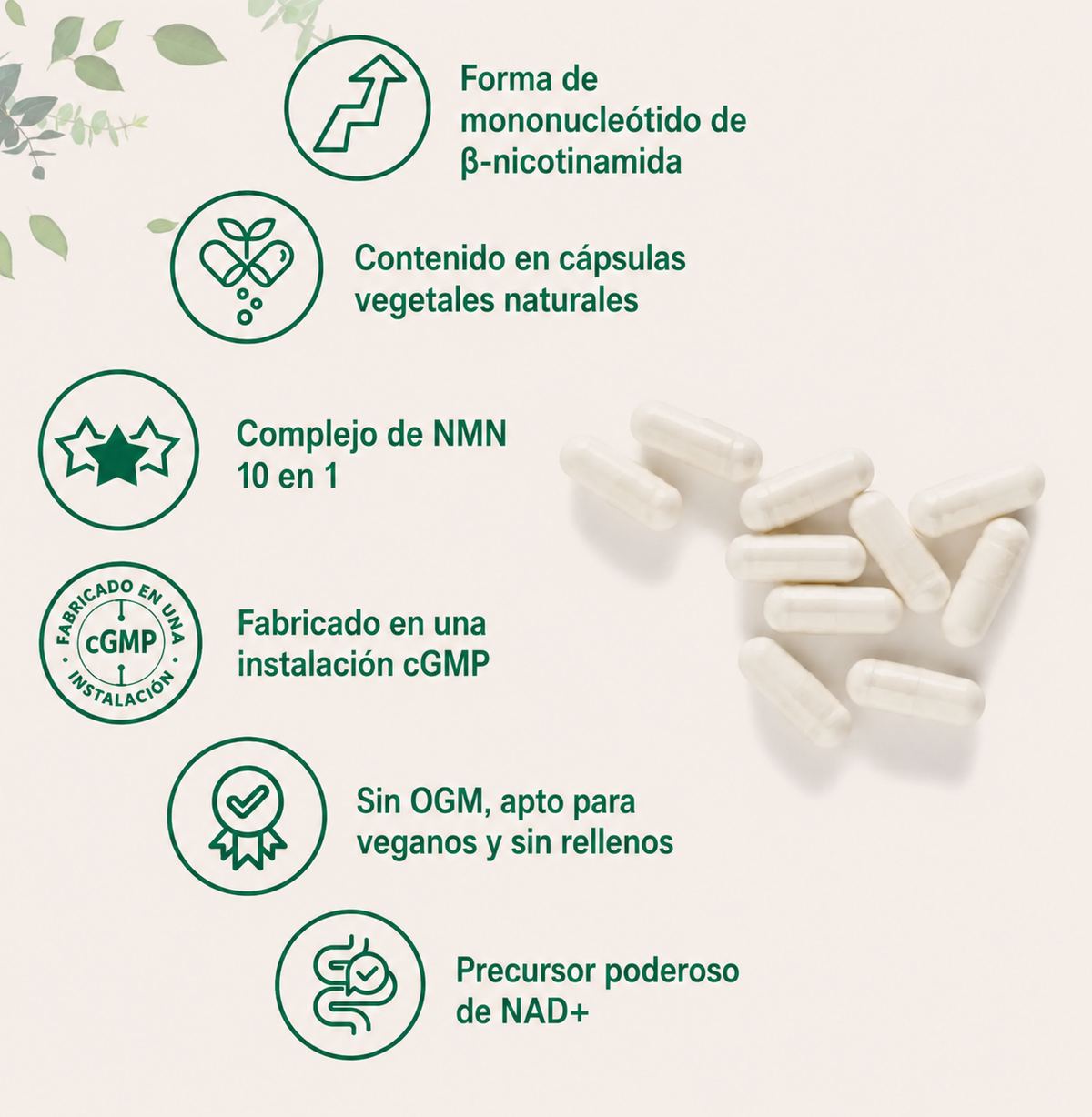 Suplemento NMN Complex Micro Ingredients
